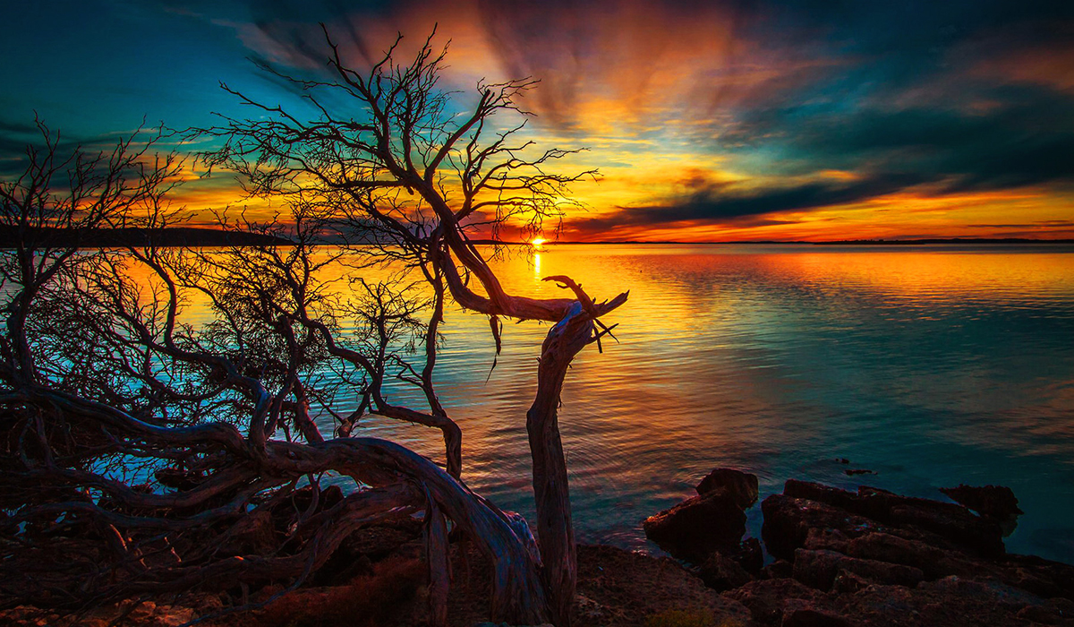 Read more about the article Watch The Sunrise From The East